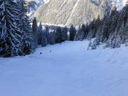 Descente vers la vallée Vermalen