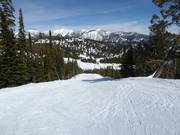 Descente Bobby's Runout