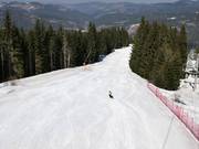 Très bonne préparation des pistes à Mechi Chal