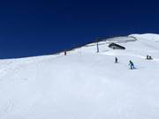 Piste difficile Fopps