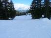 Domaines skiables pour les débutants en Lower Mainland (basses-terres continentales) – Débutants Cypress Mountain