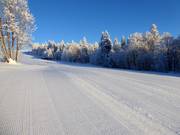 Très bonne préparation des pistes à Mitterdorf