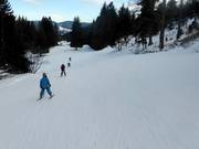 Piste facile Donauwellenabfahrt