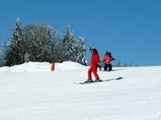 Cours de ski dans le domaine skiable Mitterdorf