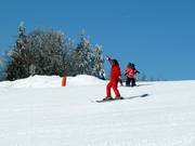 Cours de ski sur le domaine skiable de Mitterdorf