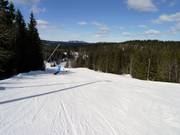 Piste facile Târnbakken