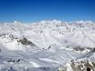 Massif d'Adamello-Presanella: Taille des domaines skiables – Taille Ponte di Legno/Tonale/Glacier Presena/Temù (Pontedilegno-Tonale)