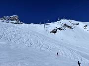 Vue sur les descentes Hockenhorn et Petersgrat
