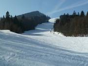 Piste au Wildalmlift