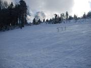 Le rail dans le domaine skiable de Fahlenscheid