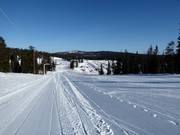 Pente d'entraînement avec téléski à corde Maston Aitio et piste facile