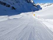Descente standard du Trübsee à Engelberg