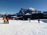 Piste au télésiège Floralpina