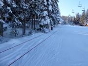 Kinderland Schwaig - Télécorde/remonte-pente à câbles bas