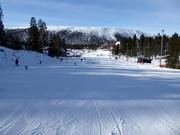 Pente d'entraînement à Tandådalen