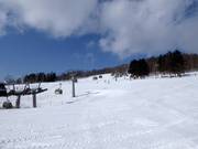 Fin de la piste Eva et Bambi
