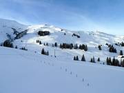 Pentes de poudreuse entre Lavey et Sillerenbühl