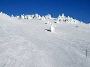 Crystal Run à travers la Crystal Bowl