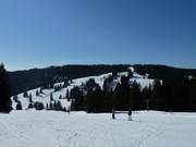 Vue depuis le Zeller sur Grafenmatt