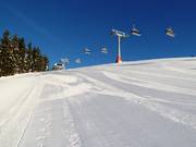 Piste fraîchement préparée