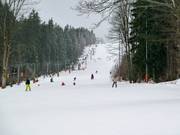 Vue le long du téléski parallèle et du télésiège une place