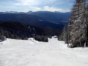 Piste Wastl Huber (Gitschberg)