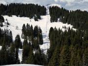 TK des Bosses - Téléski