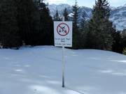 Indication sur la forêt à préserver