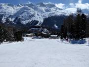 Zone débutants à Suvretta