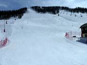 Adaptée à l'entraînement - piste Prarial à Montgenèvre