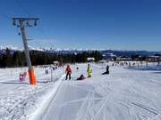 Piste facile au téléski Kreischi