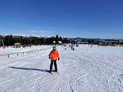 Piste facile au téléski d'entraînement (téléski à corde)