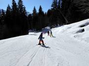 Cours de ski dans le domaine skiable