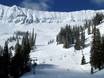 Diversité des pistes East Kootenay – Diversité des pistes Fernie