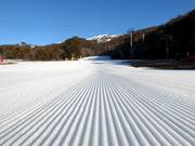 Très bonne préparation des pistes dans le domaine skiable de Thredbo