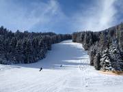 Piste Europacup-Hang