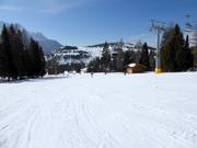 Piste facile Tschein