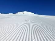 Très bonne préparation des pistes