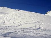 Zones freeride au Gemsstock