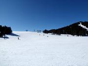 Piste facile et large Plateau