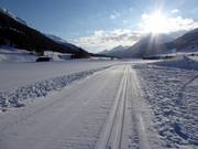 Piste de ski de fond à Zuoz