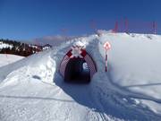 Actionwelt Sudelfeld - Freeridecross