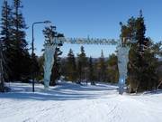 Bon plan pour les enfants : 