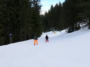Piste facile Matschwitz-Latschau