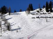 Zone freeride Kogelalm