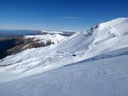 Piste difficile Platter Splatter