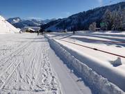 Kindergartenlift Marend - Télécorde/remonte-pente à câbles bas