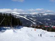 Vue depuis Hromovka vers Medvědín