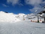 Ancienne Green Extreme