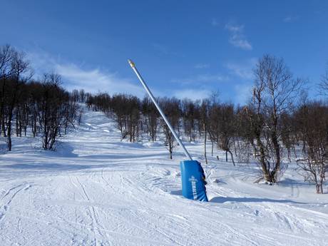 Fiabilité de l'enneigement Suède du Nord – Fiabilité de l'enneigement Tänndalen